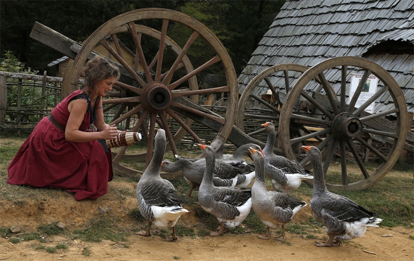 Horses, tortillas and not a single straw cutter: the French are building a castle using the technologies of the XII century Horses, tortillas and not a single straw cutter: the French are building a castle using the technologies of the XII century