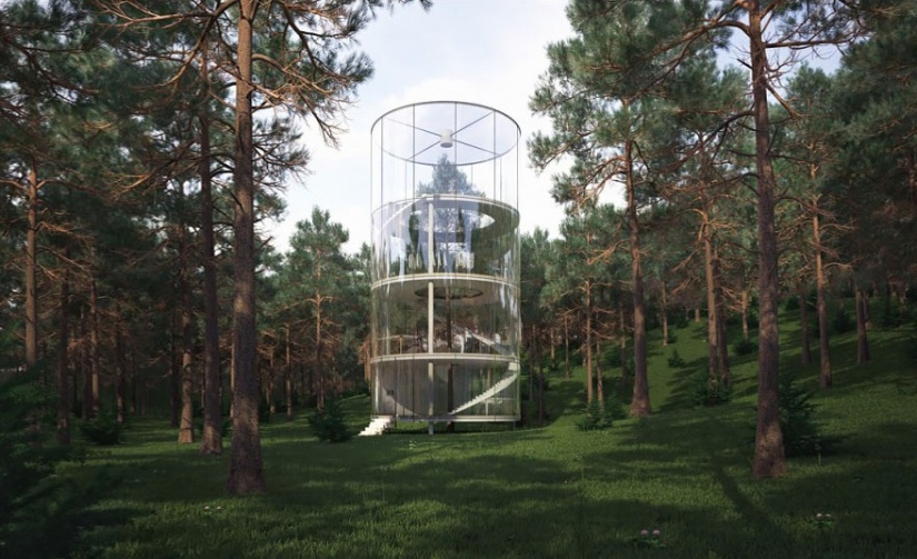 Houses whose architects refused to cut down trees Houses whose architects refused to cut down trees