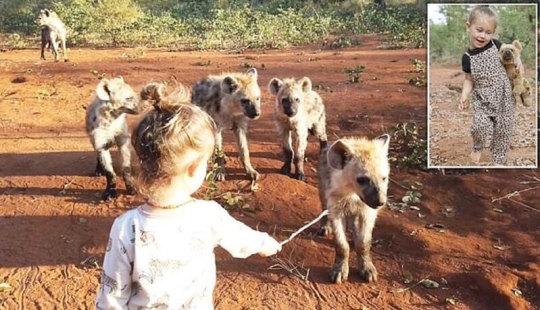 How a 2-year-old baby made friends with wild hyenas