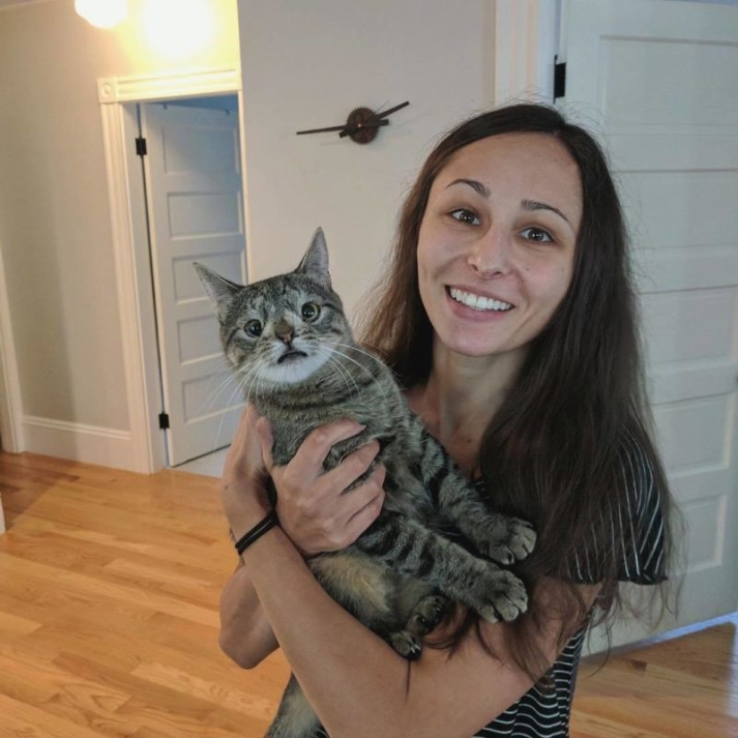 How a cat with an extra chromosome became an Instagram star How a cat with an extra chromosome became an Instagram star