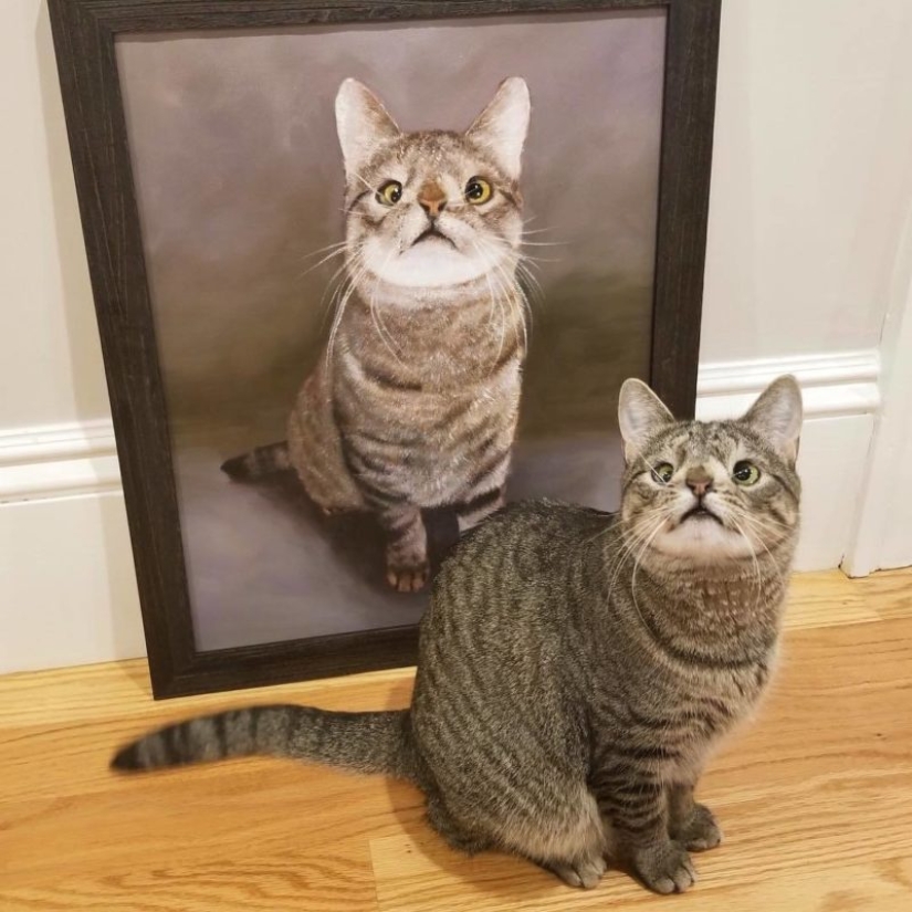 How a cat with an extra chromosome became an Instagram star How a cat with an extra chromosome became an Instagram star