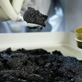 How black caviar is produced in Israel