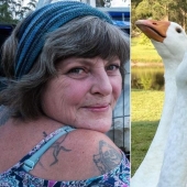 How Buying Geese Can Turn Life into a Real Hell