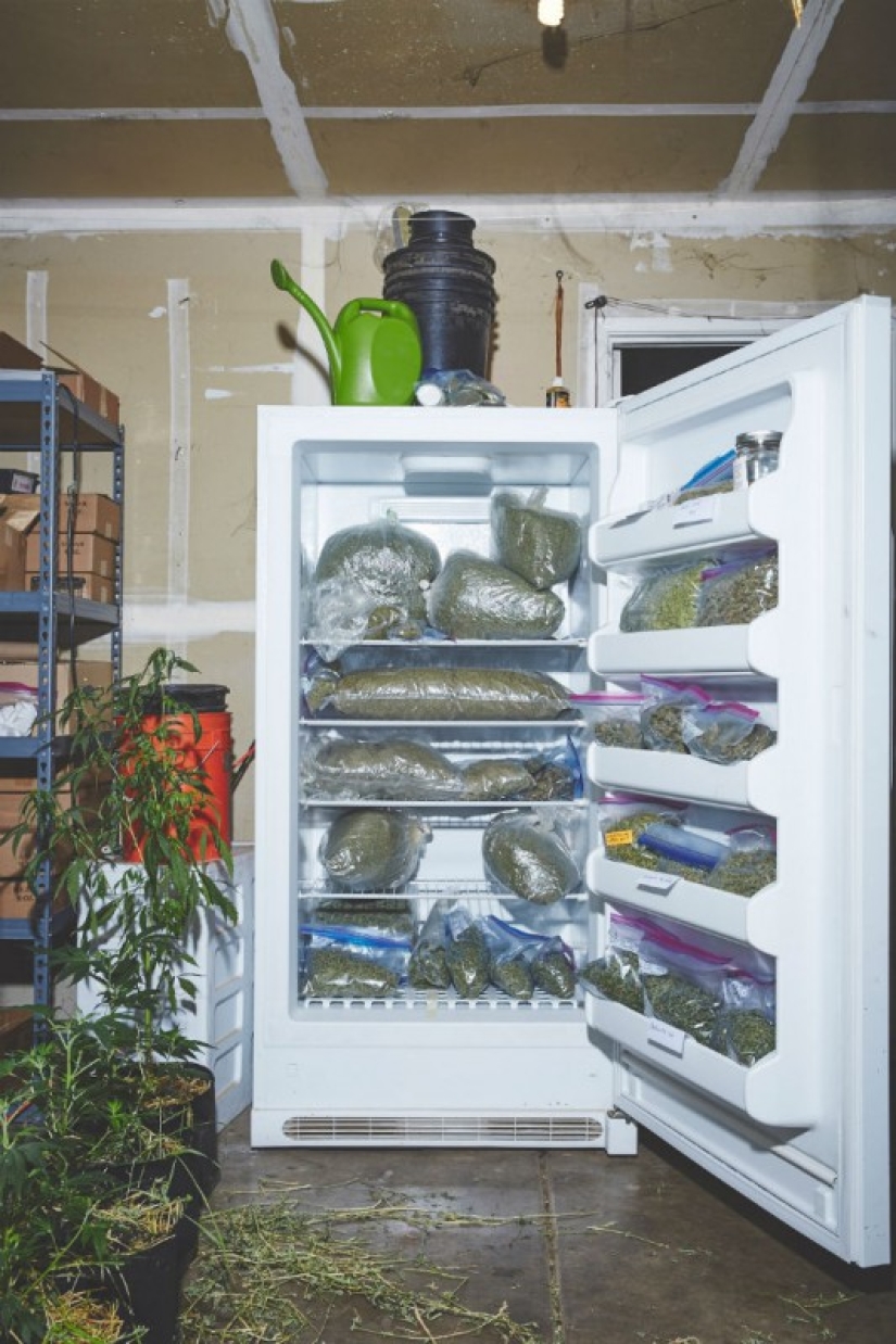 How California Nuns Grow marijuana