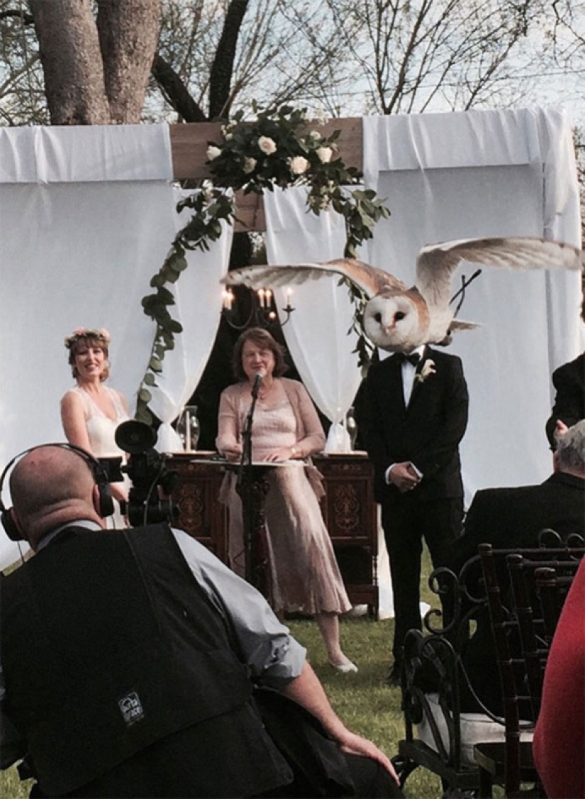 How children, animals and guests spoil wedding photos