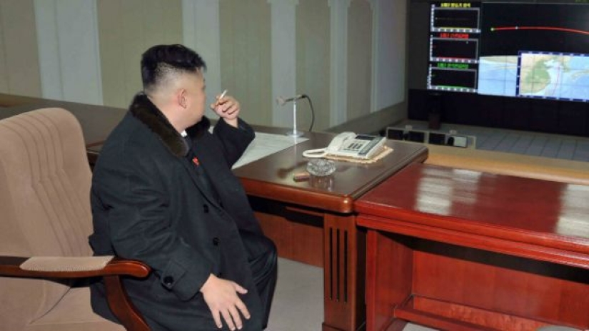 How chimpanzee Azalea from North Korea quit smoking