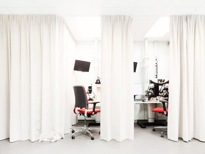 How criminologists are trained in the Netherlands