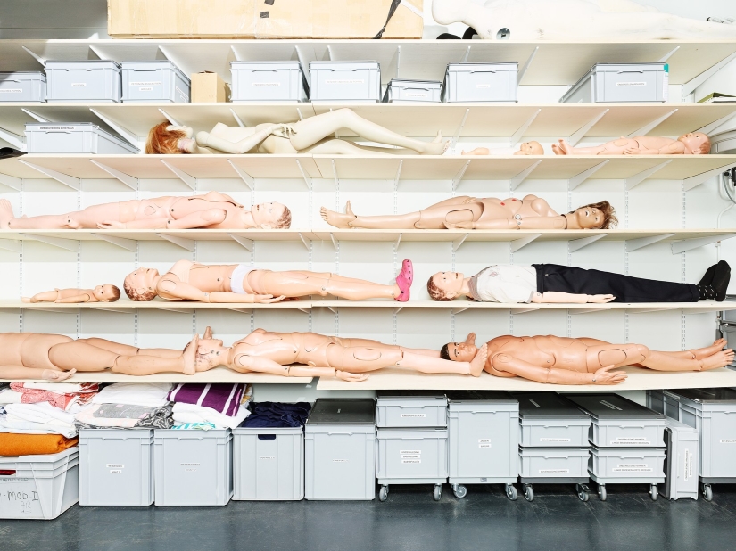 How criminologists are trained in the Netherlands