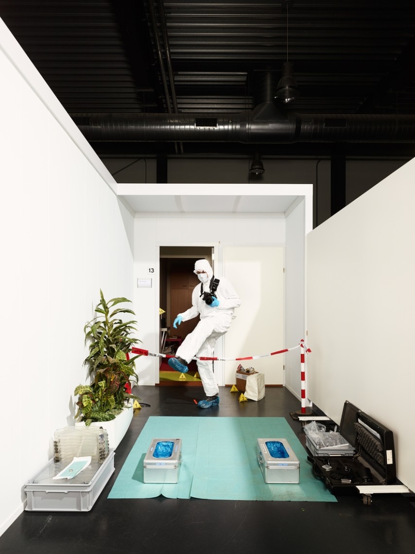 How criminologists are trained in the Netherlands