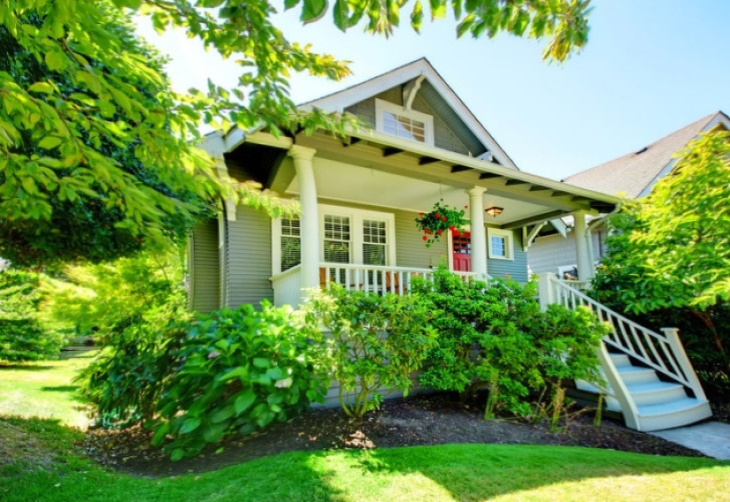 How do different animals see the world?