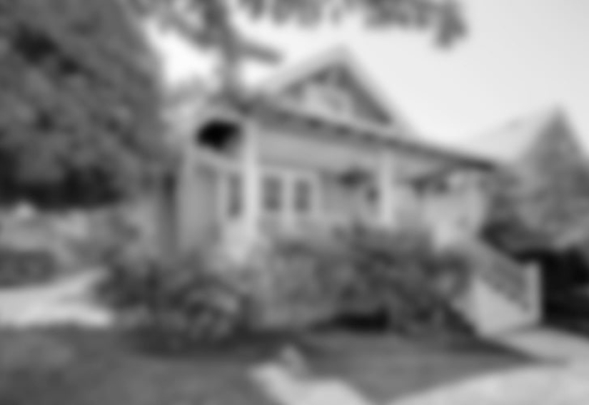 How do different animals see the world?