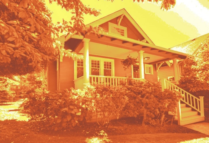 How do different animals see the world?