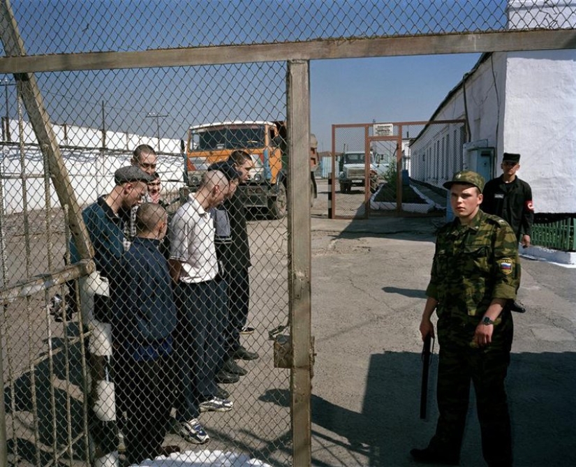 How do young prisoners live in Siberian colonies
