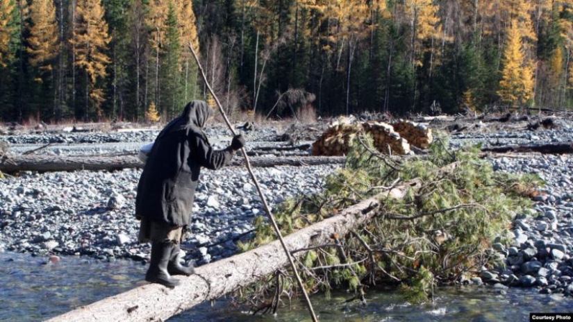 How does the taiga hermit Agafya Lykova live today