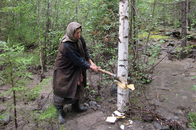 How does the taiga hermit Agafya Lykova live today