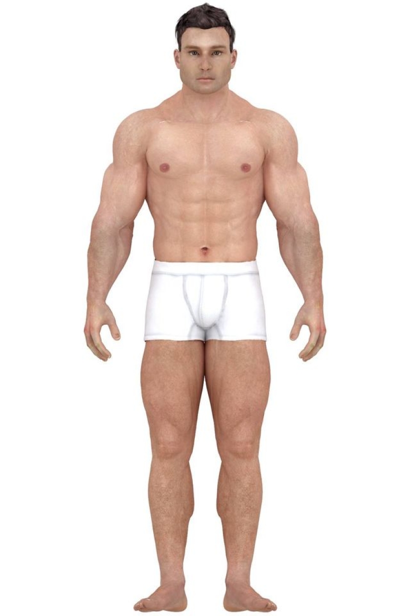 How ideas about the ideal male body have changed over the past 150 years