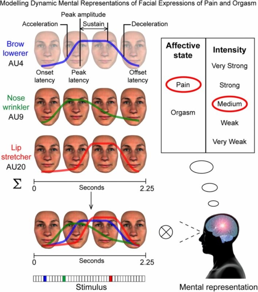 How orgasm looks on the faces of different people: you will be surprised to notice the difference