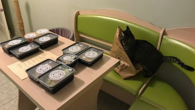 How our colleague lived on proper nutrition for two days and did not starve to death