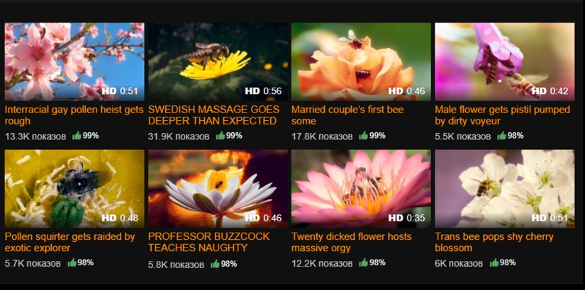 How Pornhub and Porn Save Bees from Extinction