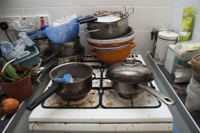 How the English "plushkins" live