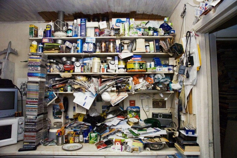 How the English "plushkins" live