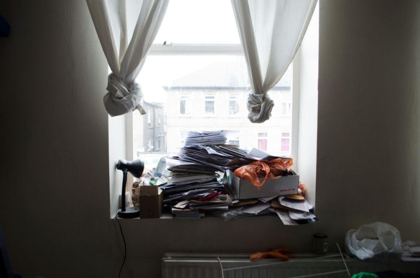 How the English "plushkins" live