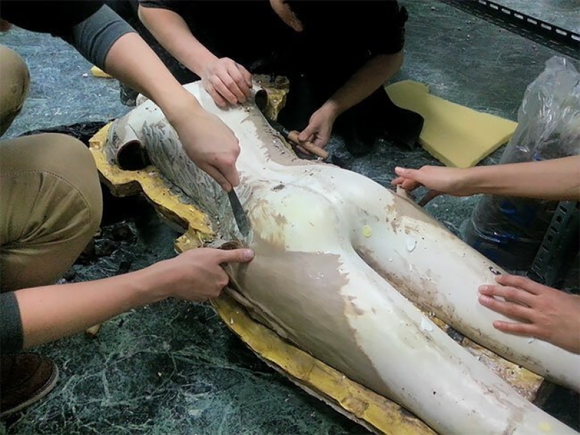 How the Queen of Blades Sarah Kerrigan is born How the Queen of Blades Sarah Kerrigan is born