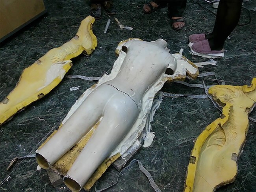 How the Queen of Blades Sarah Kerrigan is born How the Queen of Blades Sarah Kerrigan is born