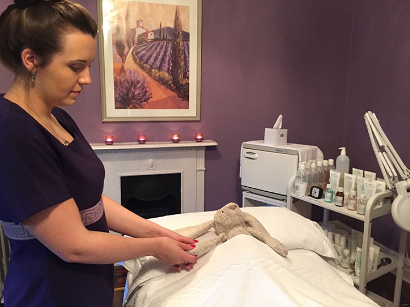 How the rabbit found his family and became a Facebook star at the same time