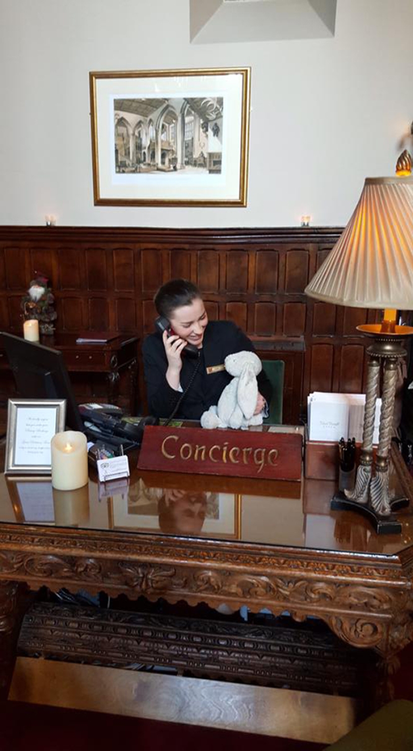 How the rabbit found his family and became a Facebook star at the same time