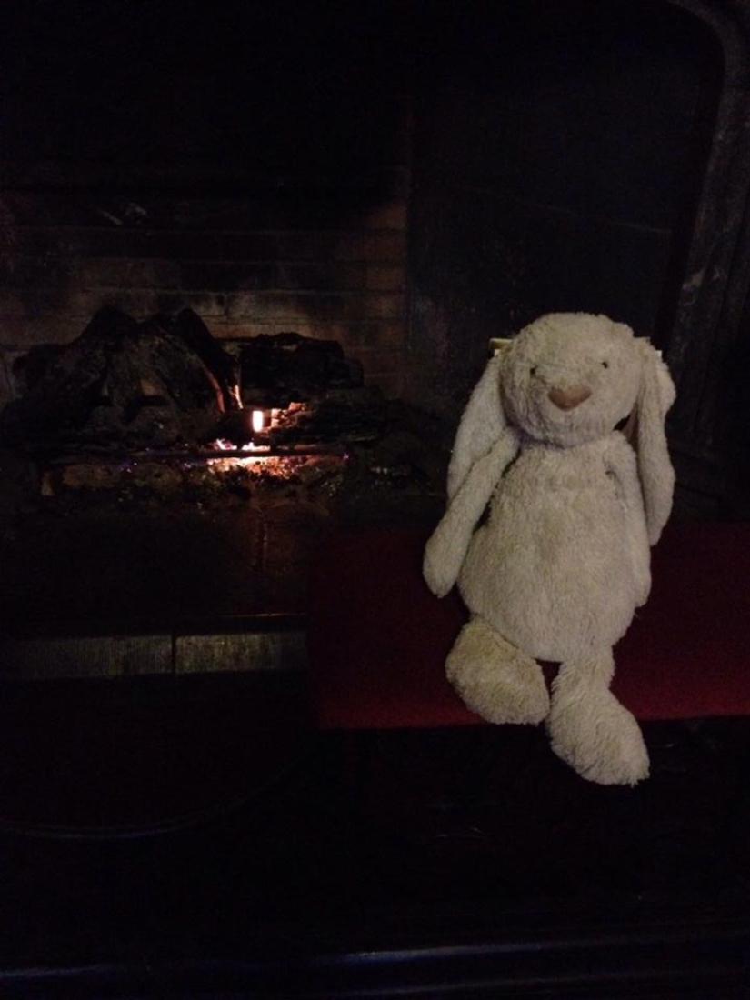 How the rabbit found his family and became a Facebook star at the same time