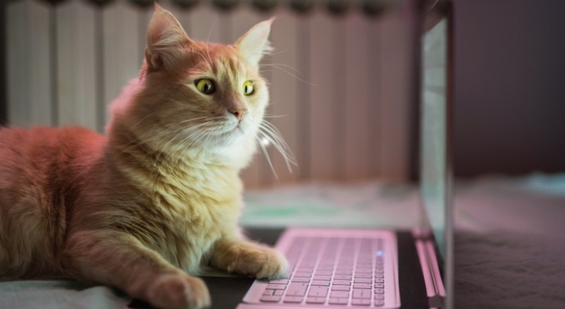 How to "break" Google — 3 proven ways