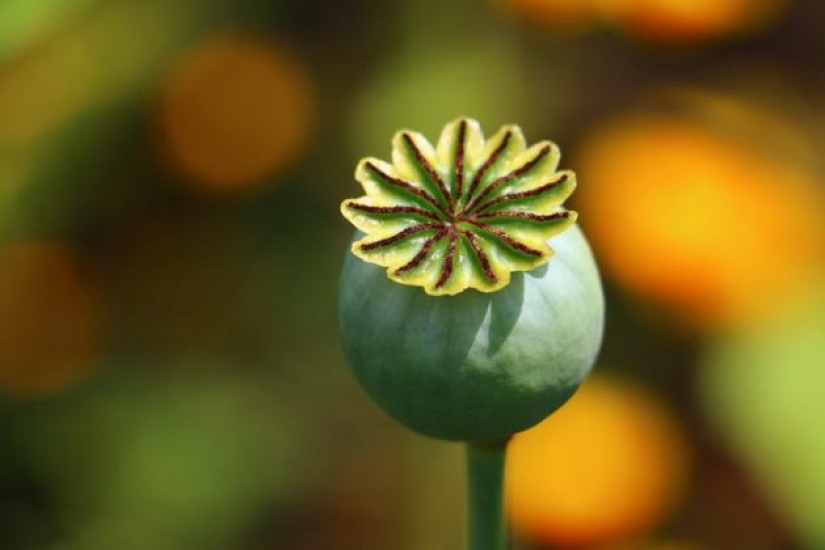 How to get rid of pain in ancient times