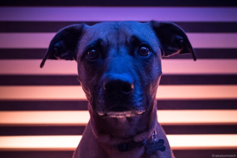 How to make a beautiful photo and get a poster for a movie? This person knows the answer for sure