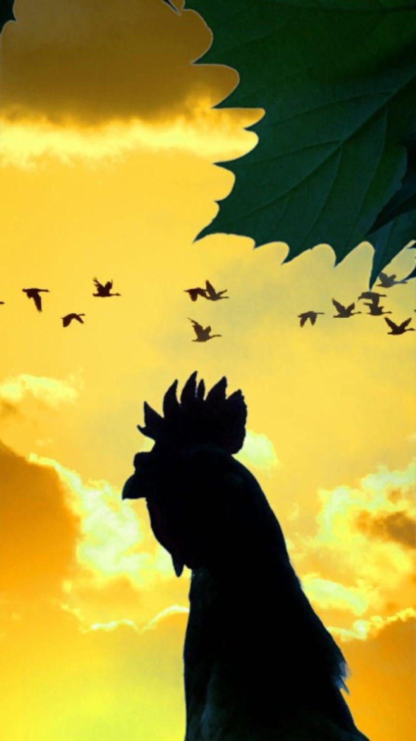 How to make a beautiful photo and get a poster for a movie? This person knows the answer for sure