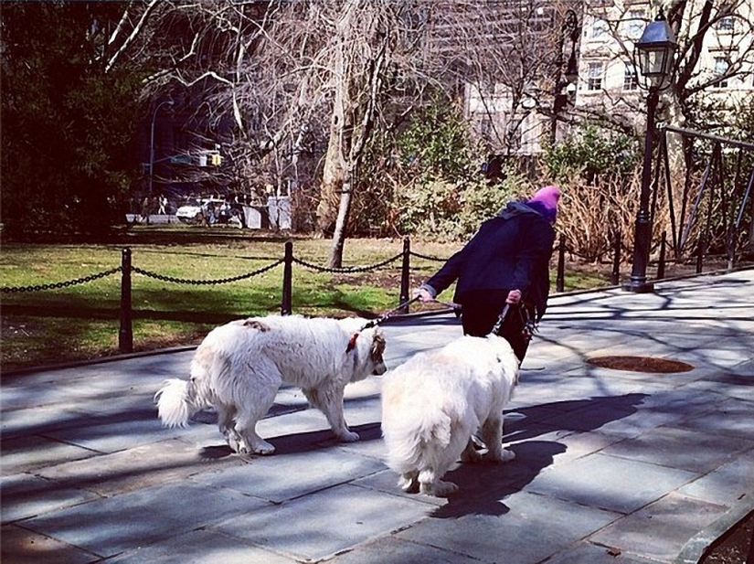 How to make money as an unemployed photographer How to make money as an unemployed photographer