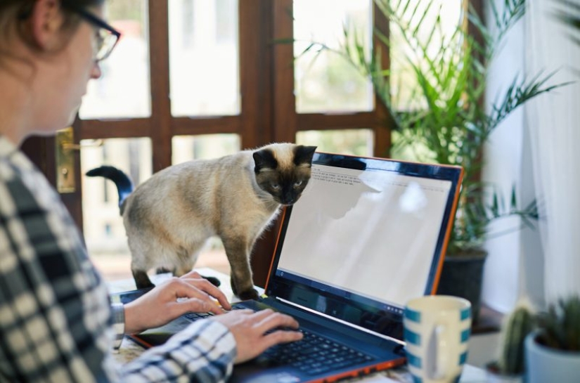 How to make your mind more flexible: 7 proven ways