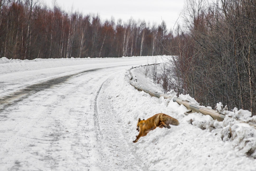 How to mine gold in the XXI century How to mine gold in the XXI century