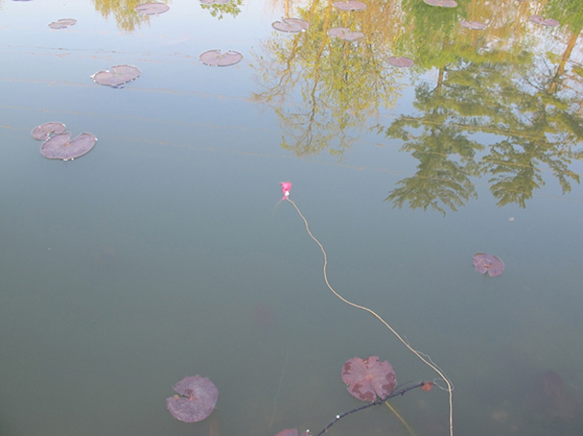 How to use a tampon for a real man: 10 harsh tips