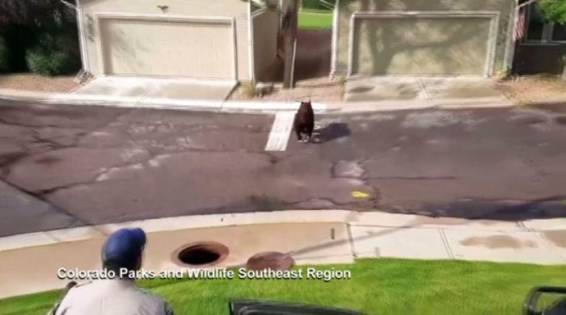 How utilities in the US found an "uninvited guest" in the sewer How utilities in the US found an "uninvited guest" in the sewer