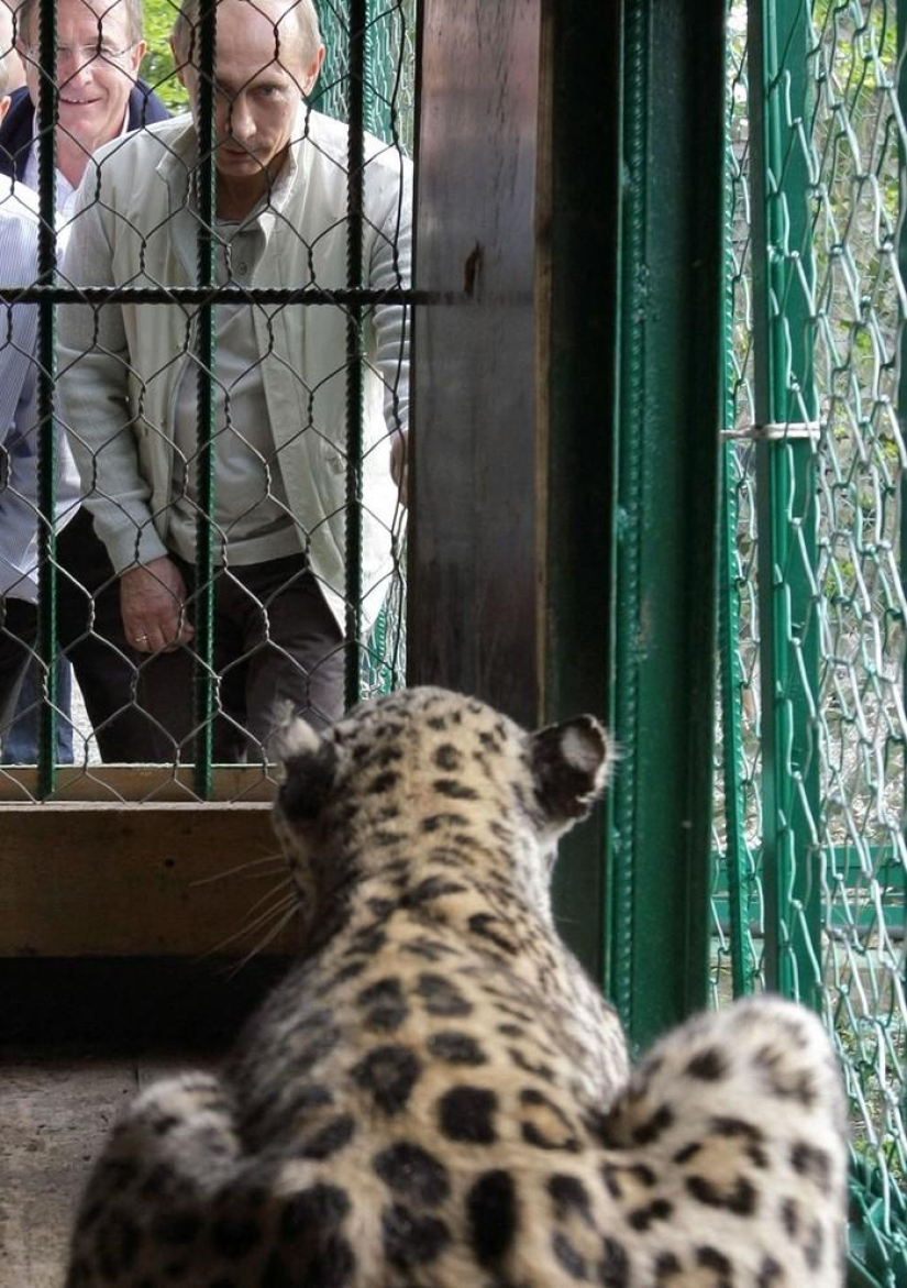 How Vladimir Putin looks at things