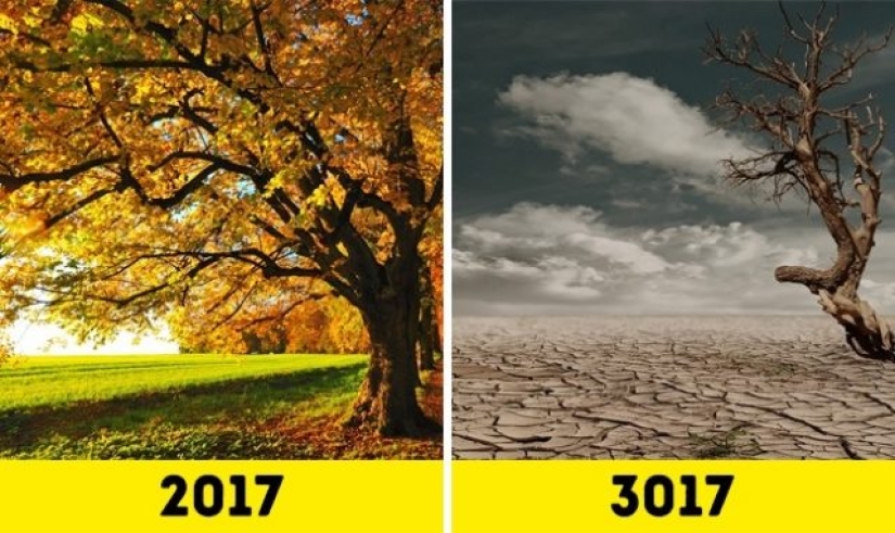 How will Earth look like in 1000 years? How will Earth look like in 1000 years?