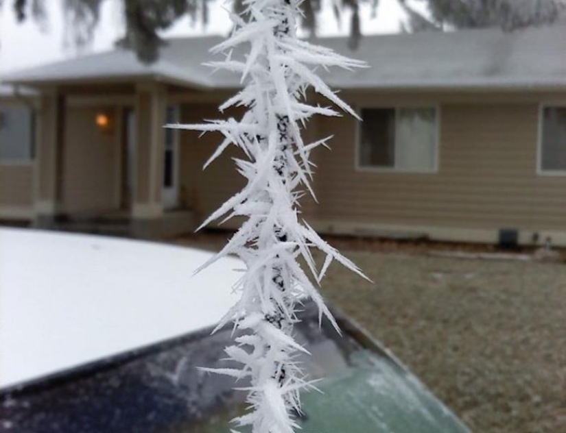How winter turns cars into works of art