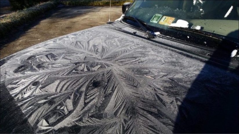 How winter turns cars into works of art