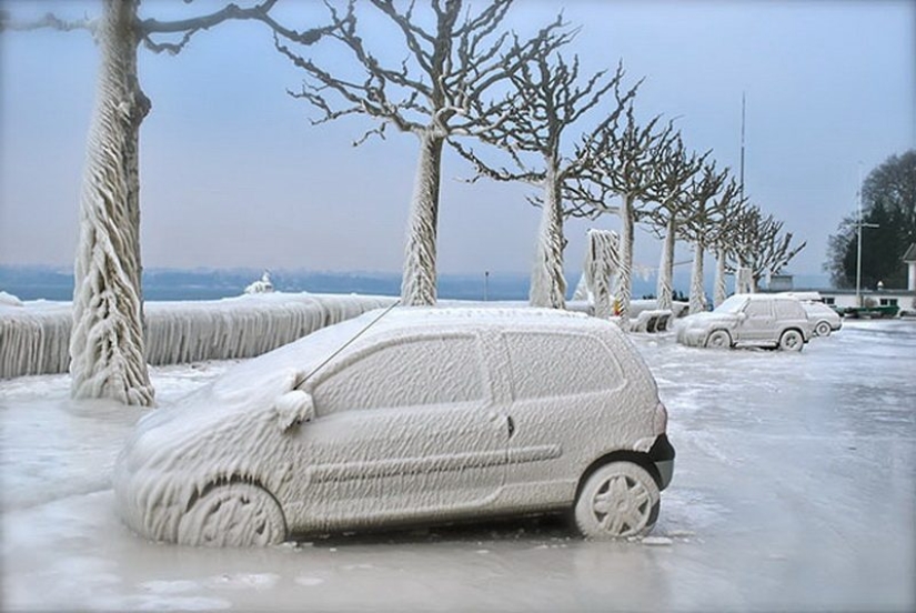 How winter turns cars into works of art