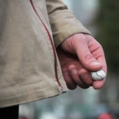 Huevos de Terebi: los canadienses han ideado un "dispositivo" para calmarse