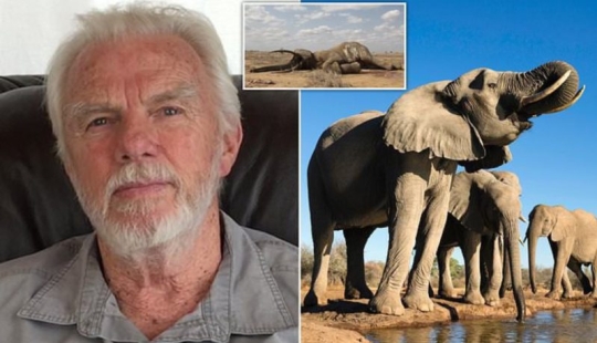 Hunter who killed 5,000 elephants and hundreds of other African animals has no remorse for what he did
