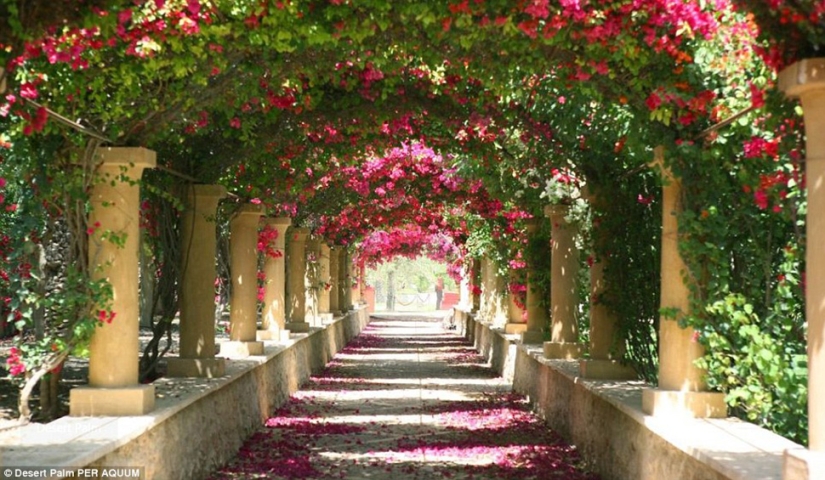 Hurry up before it goes bad: the most beautiful places not yet fully visited by tourists