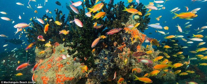 Hurry up before it goes bad: the most beautiful places not yet fully visited by tourists