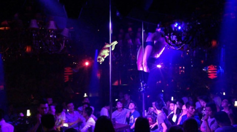 Husky stuck on a coconut tree has become a popular hero of the Internet